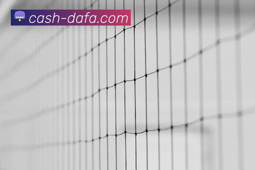 大发官网APP 体育赛事宣传图